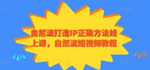 自然流打造IP正确方法线上课，自然流短视频教程| 鹿鸣网创