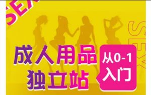 成人用品独立站从0-1入门,成品独立站运营全流程教学,七大好卖成品独立站推荐| 鹿鸣网创