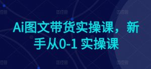 Ai图文带货实操课,新手从0-1 实操课| 鹿鸣网创