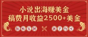 小说出海赚美金,稿费月收益2500+美金,仅需chatgpt粘贴复制,新手也能玩转【揭秘】| 鹿鸣网创