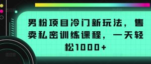 男粉项目冷门新玩法，售卖私密训练课程，一天轻松1000+【揭秘】| 鹿鸣网创