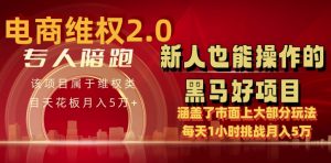电商维权 4.0 如何做到月入 5 万+每天 1 小时新人也能快速上手【仅揭秘】| 鹿鸣网创