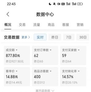 拼多多虚拟U盘电商红利项目：月赚2万+，新手小白也能玩| 鹿鸣网创