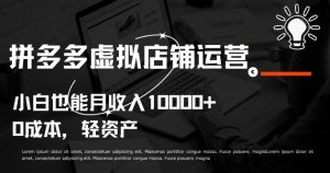拼多多虚拟店铺运营小白也能月收入10000+【揭秘】| 鹿鸣网创