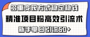 精准项目粉高效引流术，新手单日引流50+，多重变现方式稳定赚钱【揭秘】| 鹿鸣网创