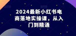 2024最新小红书电商落地实操课,从入门到精通| 鹿鸣网创