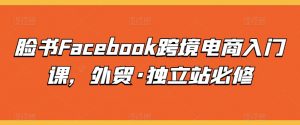 脸书Facebook跨境电商入门课，外贸·独立站必修| 鹿鸣网创