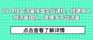 2024线上流量操盘实战课程,搭建高人效流量团队,掌握多平台流量| 鹿鸣网创