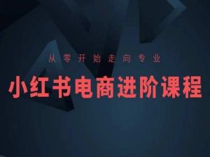 从零开始走向专业,小红书电商进阶课程| 鹿鸣网创