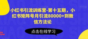 小红书引流训练营-第十五期，小红书矩阵号月引流80000+到微信方法论| 鹿鸣网创