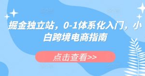 掘金独立站,0-1体系化入门,小白跨境电商指南| 鹿鸣网创