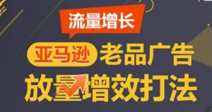 亚马逊流量增长-老品广告放量增效打法,循序渐进,打造更多TOP listing| 鹿鸣网创