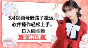 5月视频号野路子搬运，软件操作轻松上手，日入三位数【揭秘】| 鹿鸣网创