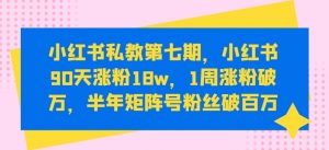 小红书私教第七期,小红书90天涨粉18w,1周涨粉破万,半年矩阵号粉丝破百万| 鹿鸣网创