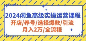 2024闲鱼高级实操运营课程:开店/养号/选择爆款/引流/月入2万/全流程| 鹿鸣网创