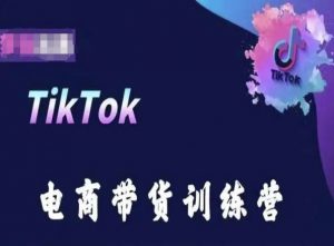 TikTok电商带货训练营，跟随时代潮流，跨境掘金| 鹿鸣网创