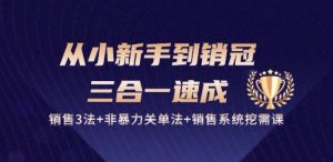 从小新手到销冠 三合一速成:销售3法+非暴力关单法+销售系统挖需课 (27节)| 鹿鸣网创