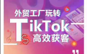 外贸工厂玩转TikTok高效获客,多种引流方式与账号定位技巧,拆解爆款短视频打造成功案例| 鹿鸣网创