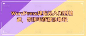 WordPress建站从入门到精通,跨境电商建站教程| 鹿鸣网创