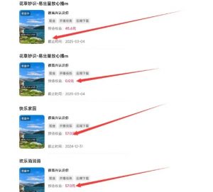 磁力聚星游戏副业陪跑训练营1.0,长期稳定项目,有人一周干了1K+| 鹿鸣网创