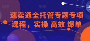 速卖通全托管专题专项课程,实操 高效 爆单| 鹿鸣网创