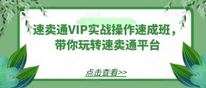 速卖通VIP实战操作速成班,带你玩转速卖通平台| 鹿鸣网创