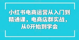 小红书电商运营从入门到精通课，电商店群实战，从0开始到学会| 鹿鸣网创