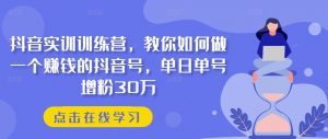 抖音实训训练营，教你如何做一个赚钱的抖音号，单日单号增粉30万| 鹿鸣网创