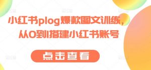 小红书plog爆款图文训练，从0到1搭建小红书账号| 鹿鸣网创