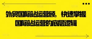 外贸国际站运营顾问,快速掌握国际站运营的底层逻辑| 鹿鸣网创