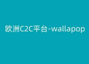 欧洲C2C平台-wallapop-kim跨境电商教程| 鹿鸣网创