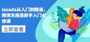 lazada从入门到精通，跨境东南亚新手入门必修课| 鹿鸣网创