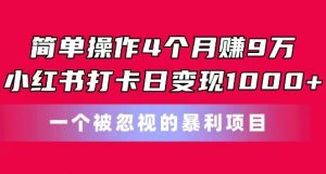 简单操作4个月赚9w,小红书打卡日变现1k,一个被忽视的暴力项目【揭秘】| 鹿鸣网创