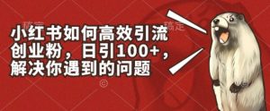 小红书如何高效引流创业粉，日引100+，解决你遇到的问题【揭秘】| 鹿鸣网创