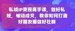 私域IP变现高手课，做好私域，被动成交，教你如何打造好朋友圈做好社群| 鹿鸣网创