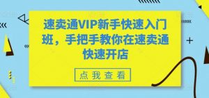 速卖通VIP新手快速入门班，手把手教你在速卖通快速开店| 鹿鸣网创