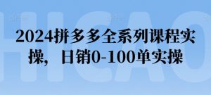 2024拼多多全系列课程实操,日销0-100单实操【必看】| 鹿鸣网创