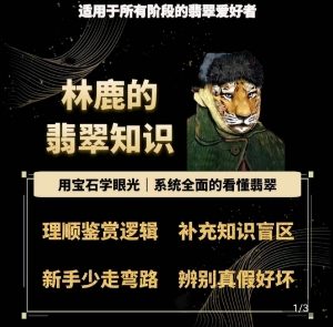 林鹿的翡翠知识,用宝石眼光,系统全面的看懂翡翠| 鹿鸣网创