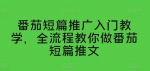 番茄短篇推广入门教学，全流程教你做番茄短篇推文| 鹿鸣网创