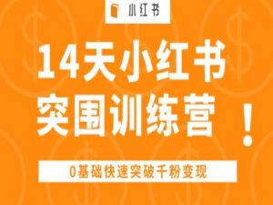 14天小红书突围训练营 ，0基础快速突破千粉变现| 鹿鸣网创