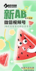梅花实验室2024年AB技术视频号AB合成破解版| 鹿鸣网创