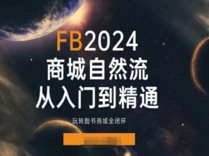 2024Faceboo商城自然流(从入门到精通)，玩转脸书商城全闭环| 鹿鸣网创