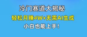 冷门赛道大揭秘,轻松月赚1W+无需AI生成,小白也能上手【揭秘】| 鹿鸣网创