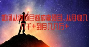 如何从做项目变成卖项目,从月收入几千到月入几万【揭秘】| 鹿鸣网创