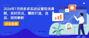 2024年7月拼多多实战运营现场课程,实时玩法,爆款打造,选品、规则解析| 鹿鸣网创