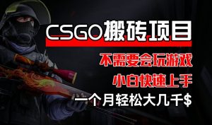 CSGO 装备搬砖项目,操作简单,不需要会玩游戏,小白也能快速上手,一个月轻松大几千【揭秘】| 鹿鸣网创