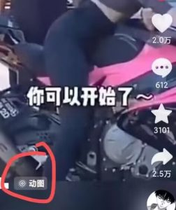 2024年7月苹果手机动图搬运技术| 鹿鸣网创