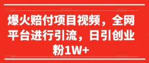 爆火赔付项目视频,全网平台进行引流,日引创业粉1W+【揭秘】| 鹿鸣网创