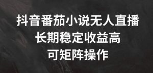 抖音番茄小说无人直播,长期稳定收益高,可矩阵操作【揭秘】| 鹿鸣网创
