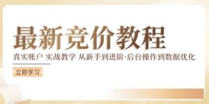 竞价教程：真实账户 实战教学 从新手到进阶·后台操作到数据优化| 鹿鸣网创